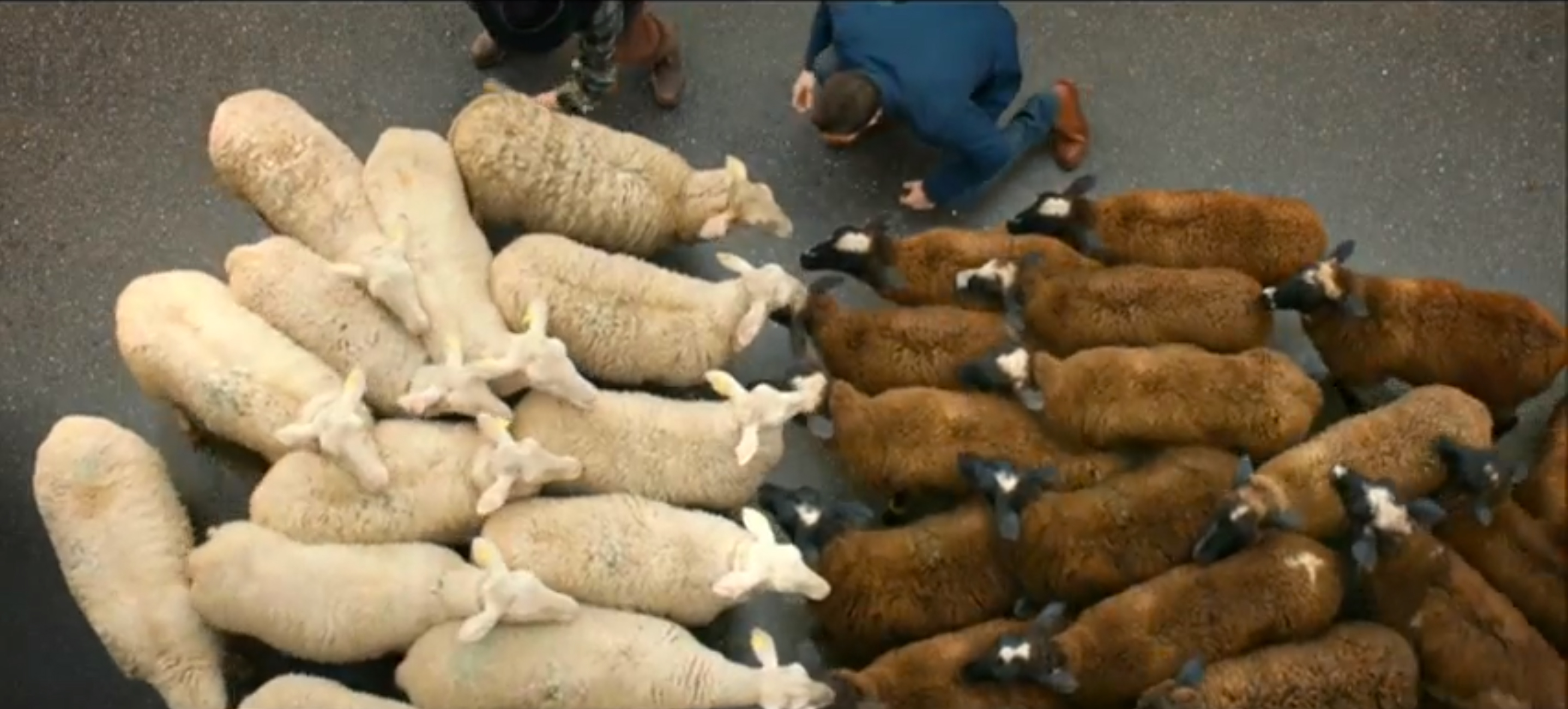 Heineken-The-Kick_01