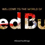 World of Red Bull 2013