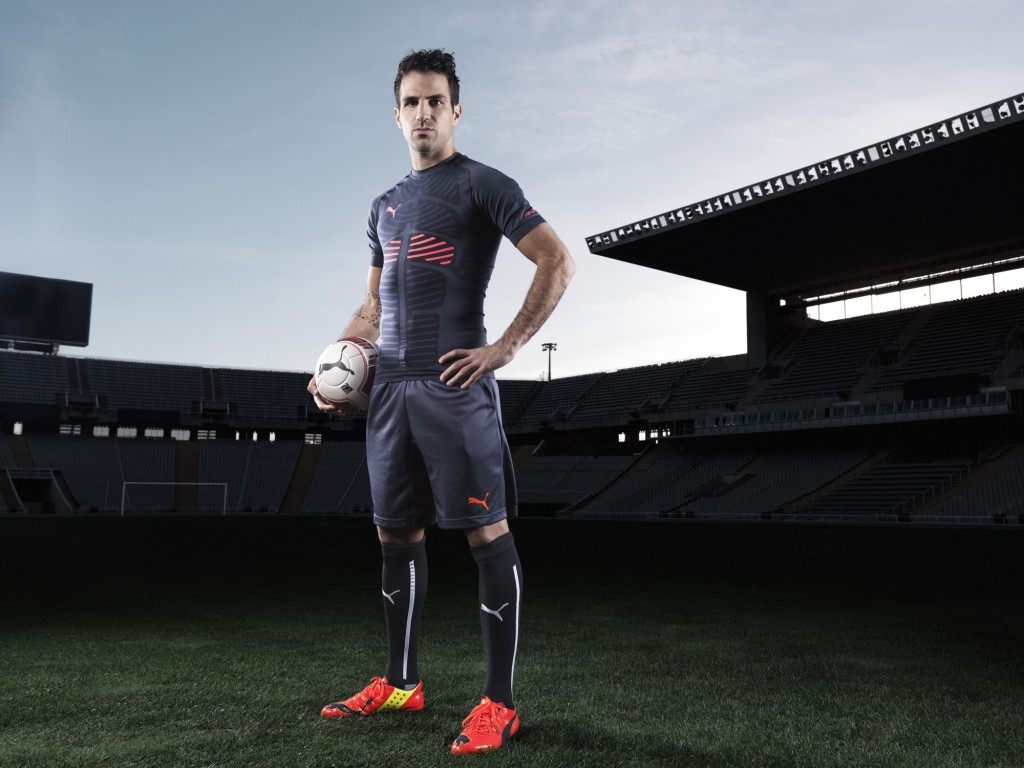 TomO_Puma_111113_shot1_0011