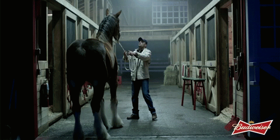 A-B-Super-Bowl-Ads-Lost-Dog-Teaser-Don-and-Budweiser-Clydesdale